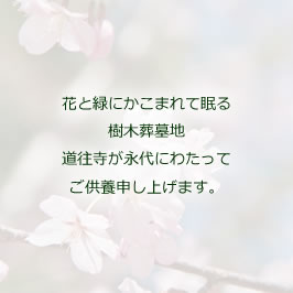 花と緑にかこまれて眠る樹木葬墓地 道往寺が永代にわたってご供養申し上げます。